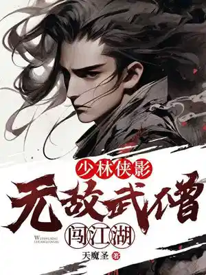 少林侠影:无敌武僧闯江湖